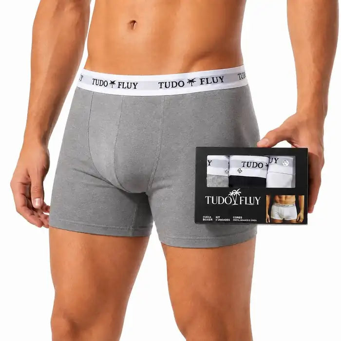 Kit 3 cuecas boxer TUDO FLUY - cinza