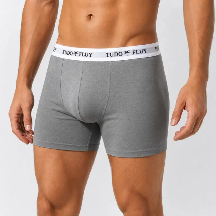 Kit 20 cuecas boxer TUDO FLUY - cinza